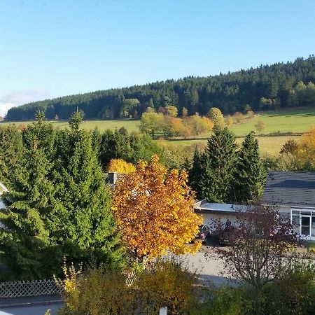 Fewos 4-Jahreszeiten Willingen  Luaran gambar