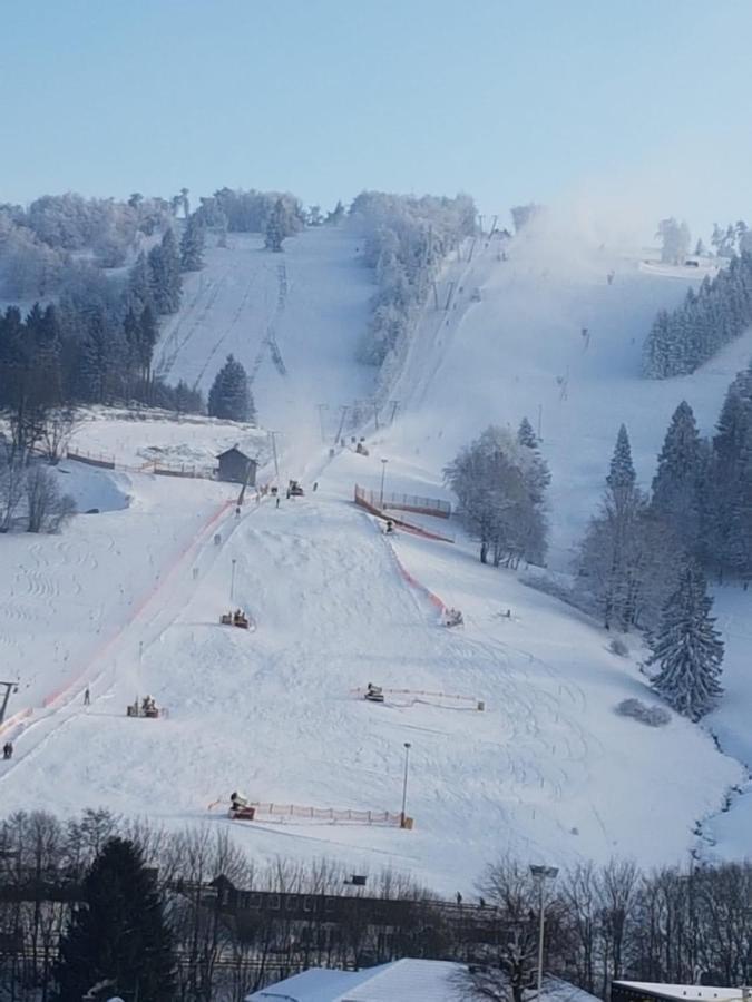 Fewos 4-Jahreszeiten Willingen  Luaran gambar
