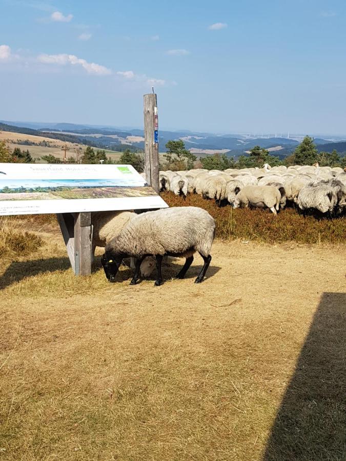 Fewos 4-Jahreszeiten Willingen  Luaran gambar